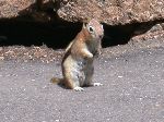 2007-0613-1341-22.jpg